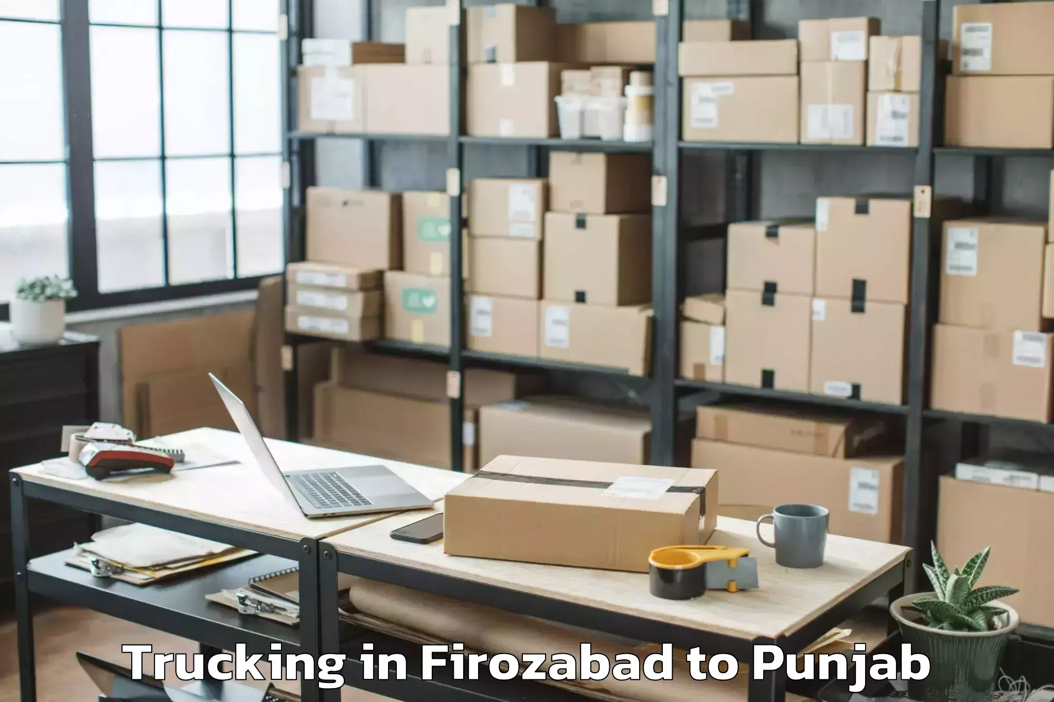 Trusted Firozabad to Dav University Jalandhar Trucking